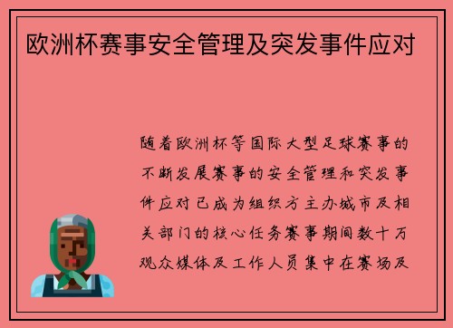 欧洲杯赛事安全管理及突发事件应对